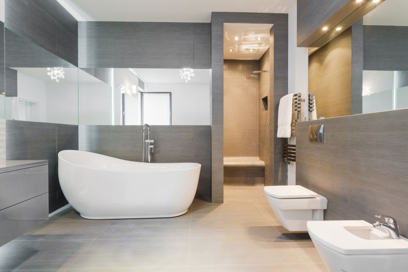 Stylish Bathroom Renovations